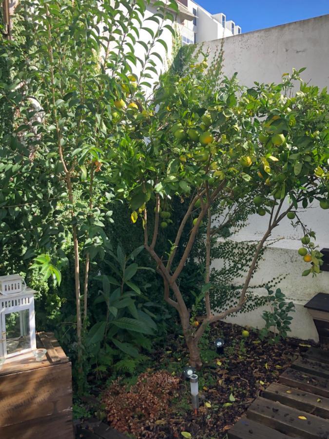 Garden Apartment Лиссабон Экстерьер фото